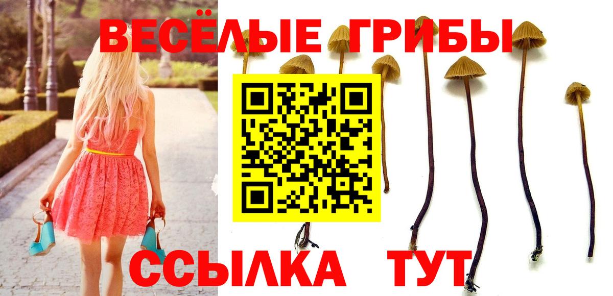 Галлюциногенные грибы мухоморы Ленинск-Кузнецкий