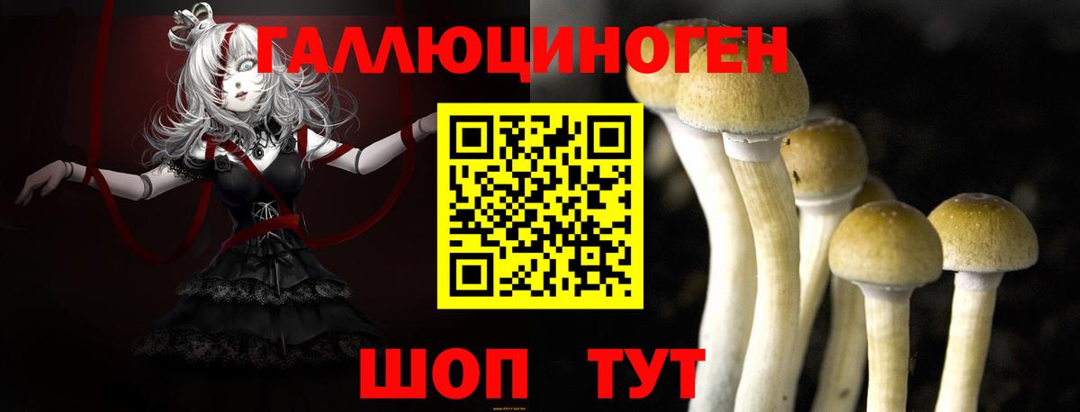 Псилоцибиновые грибы мицелий  Вход с VPN  Ленинск-Кузнецкий 